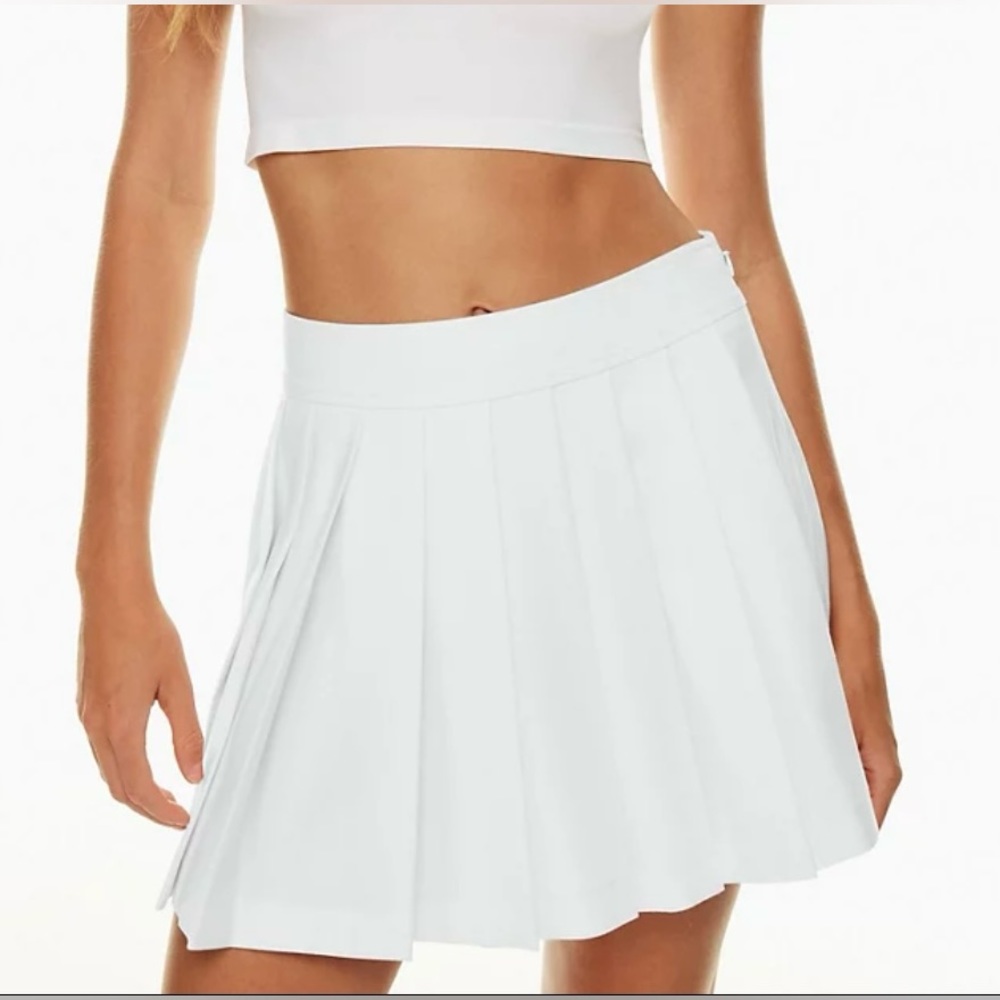 Aritzia Sunday Best skirt